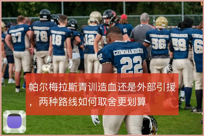 帕尔梅拉斯青训造血还是外部引援，两种路线如何取舍更划算