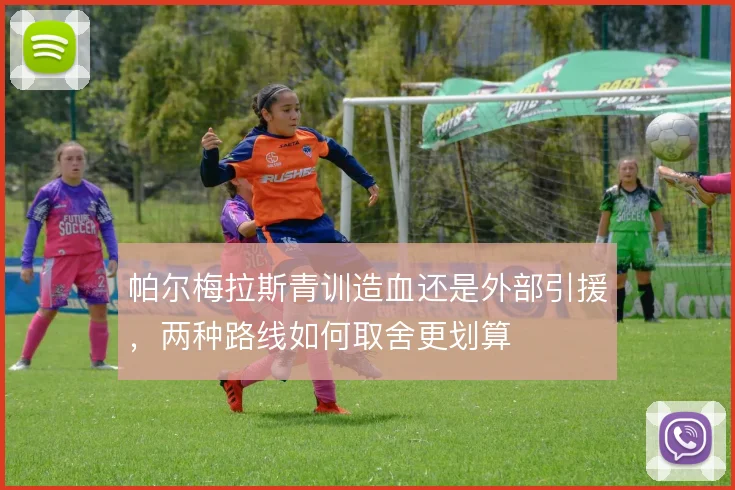 帕尔梅拉斯青训造血还是外部引援，两种路线如何取舍更划算